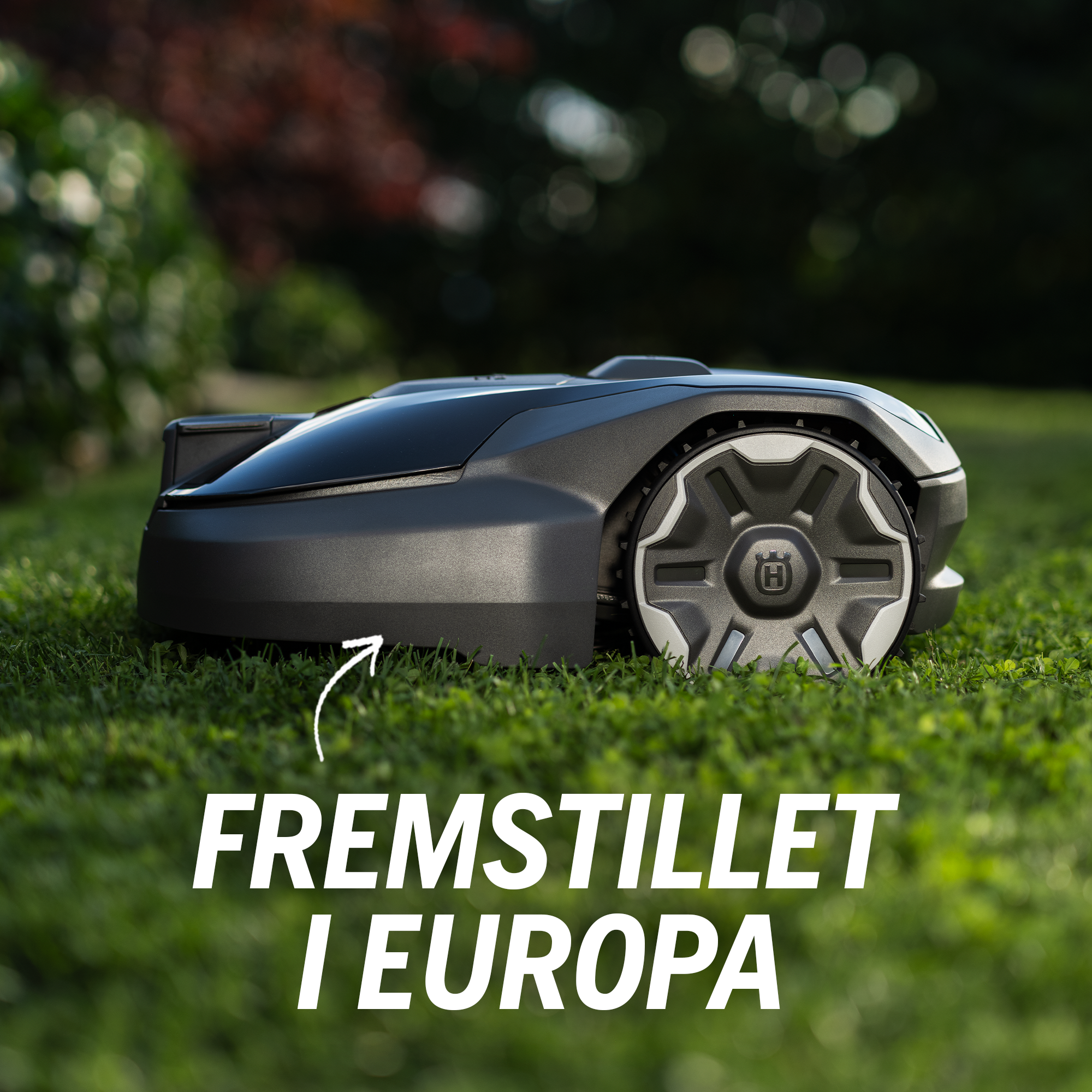 Premium SELDIS - Made in Europe_DK